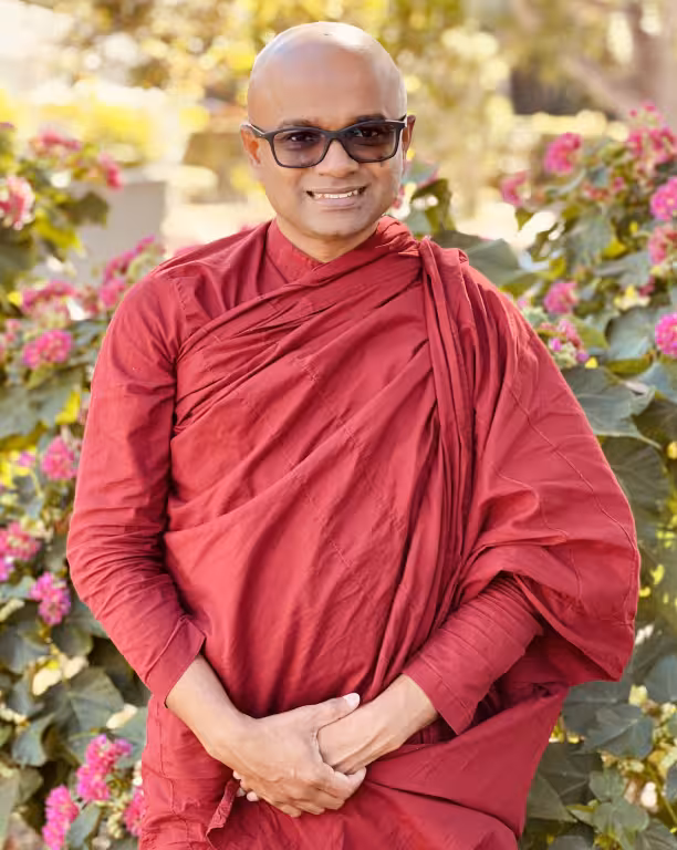 The Blue Lotus Meditation Center